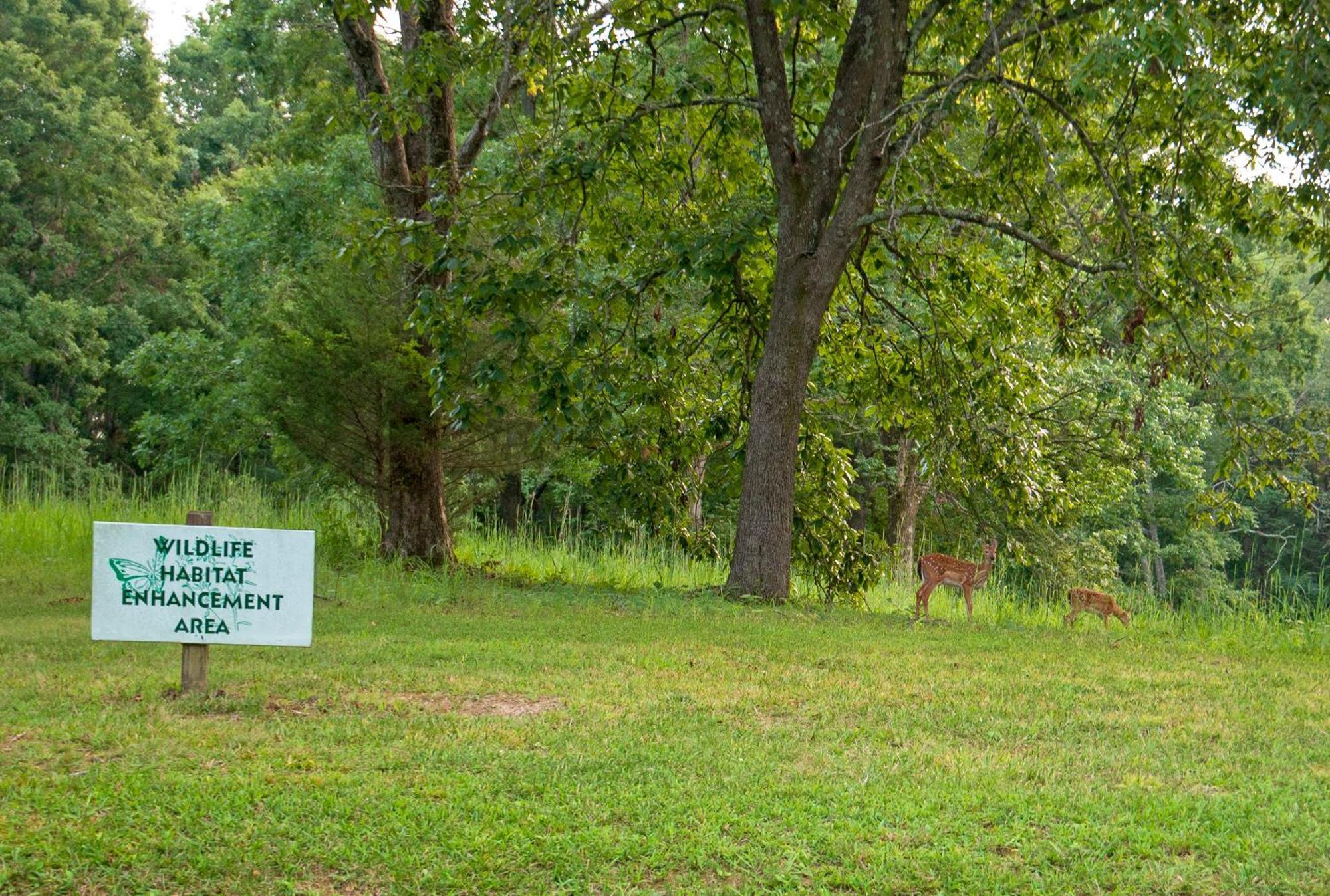 Barren River Lake State Resort Park Lucas Buitenkant foto